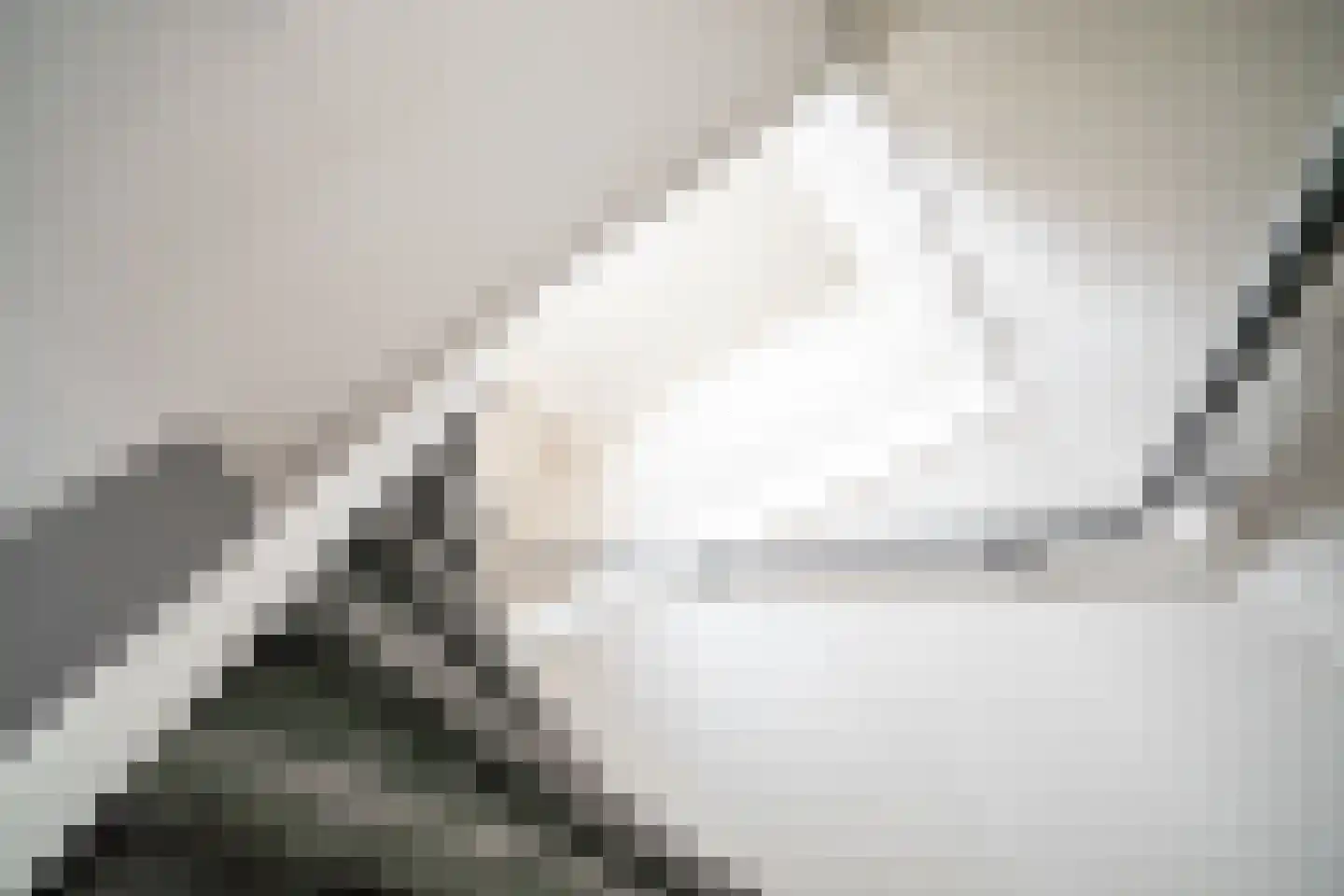 Ponyweide 122 Zoetermeer thumbnail 38
