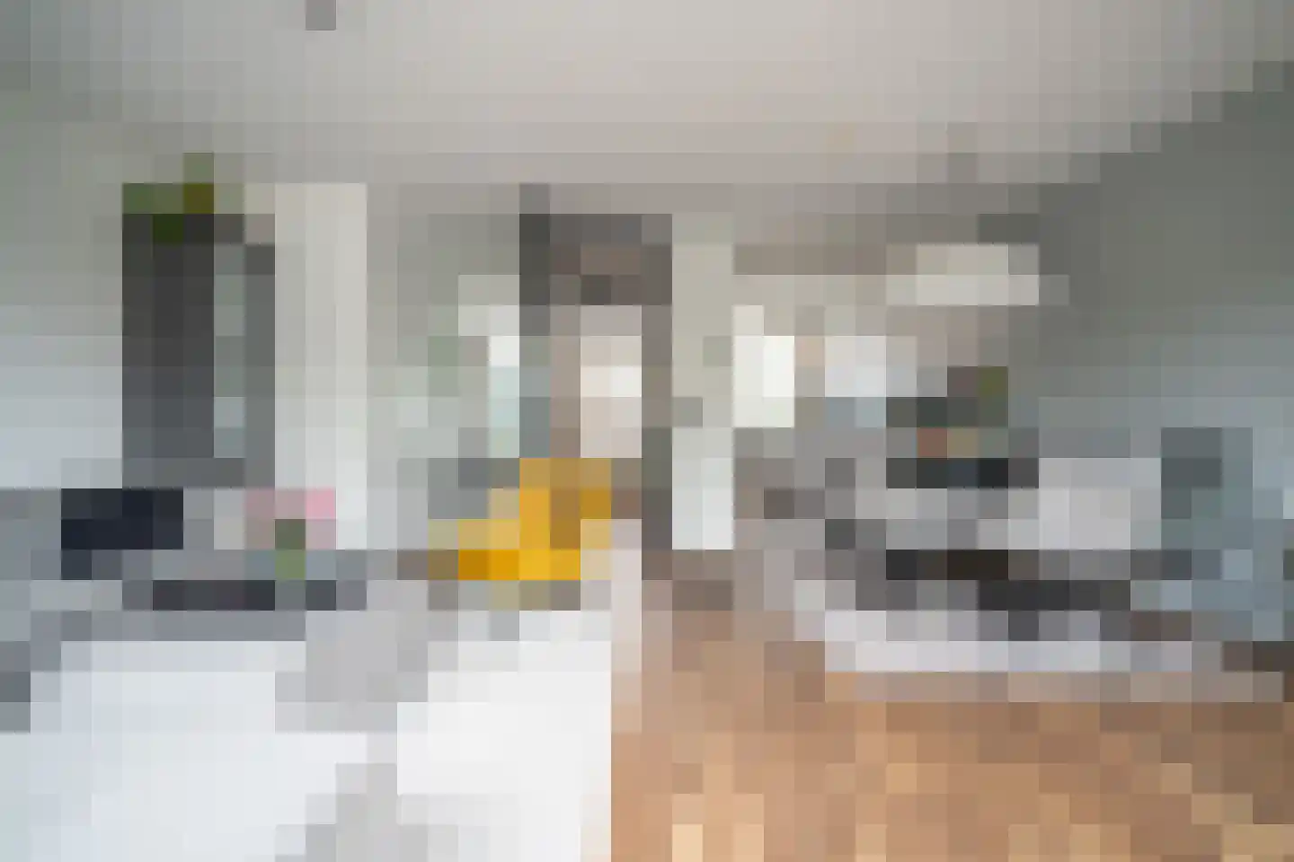 Ponyweide 122 Zoetermeer thumbnail 7