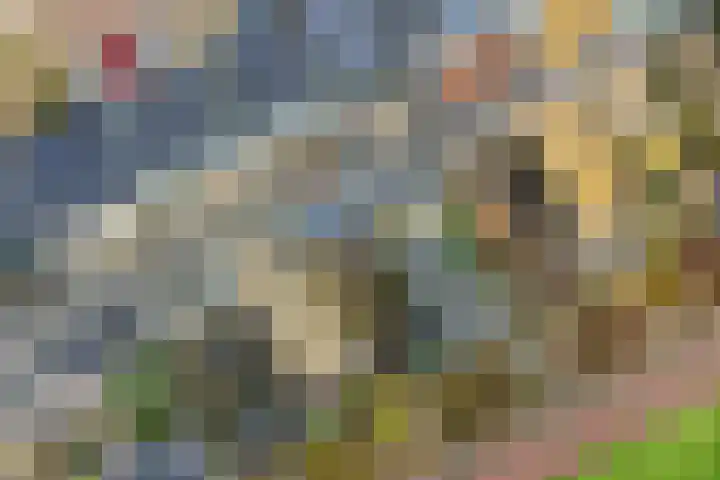 Ponyweide 40 Zoetermeer thumbnail 23