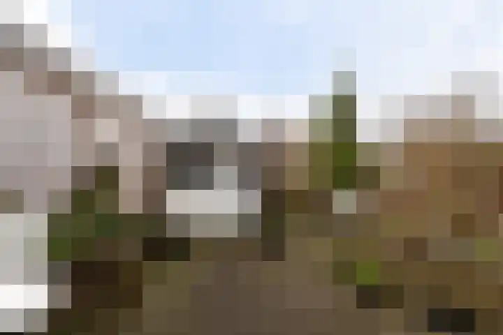 Ponyweide 40 Zoetermeer thumbnail 4