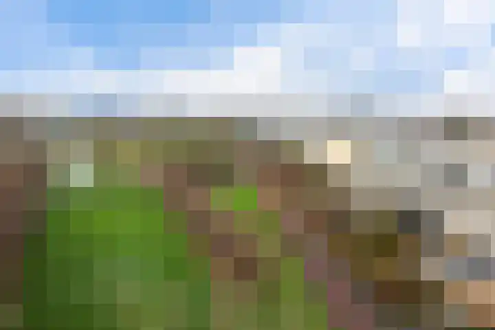 Ponyweide 40 Zoetermeer thumbnail 44