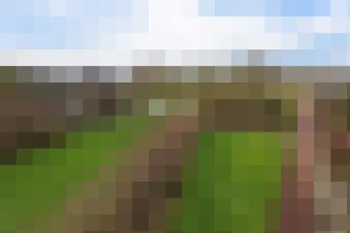 Ponyweide 40 Zoetermeer thumbnail 45