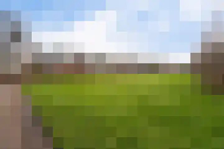 Ponyweide 40 Zoetermeer thumbnail 46