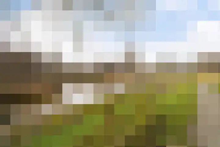 Ponyweide 40 Zoetermeer thumbnail 47