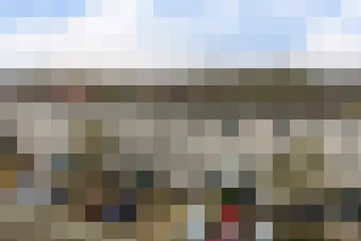 Ponyweide 40 Zoetermeer thumbnail 6