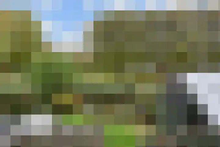 Ponyweide 49 Zoetermeer thumbnail 21