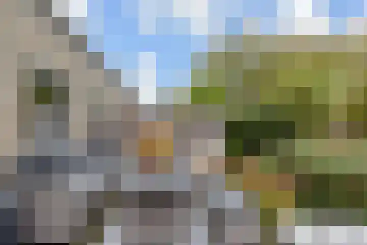 Ponyweide 49 Zoetermeer thumbnail 22
