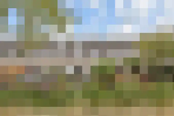 Ponyweide 49 Zoetermeer thumbnail 24