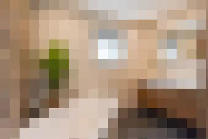 Ponyweide 49 Zoetermeer thumbnail 37