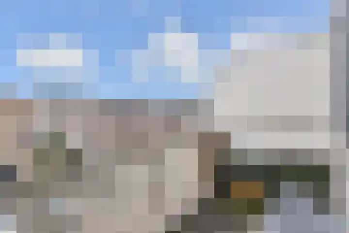 Ponyweide 49 Zoetermeer thumbnail 40