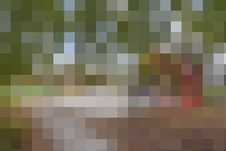 Ponyweide 49 Zoetermeer thumbnail 50