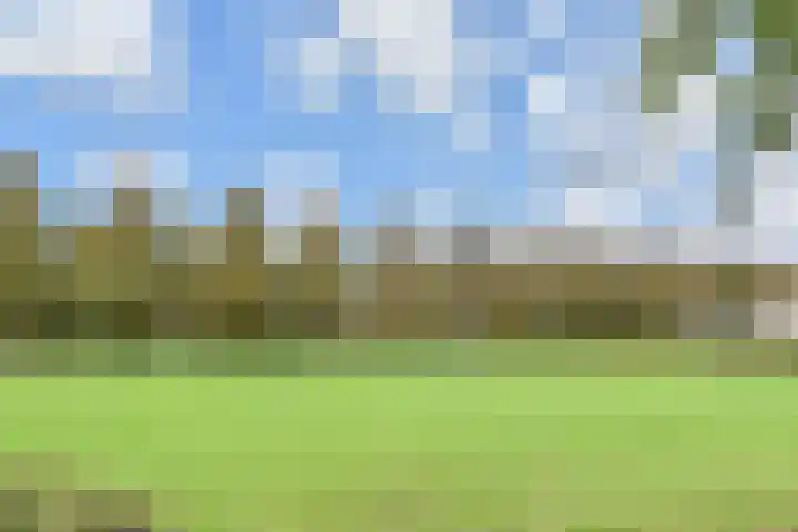 Ponyweide 49 Zoetermeer thumbnail 52