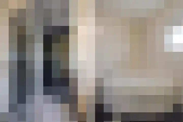 Ponyweide 57 Zoetermeer thumbnail 32