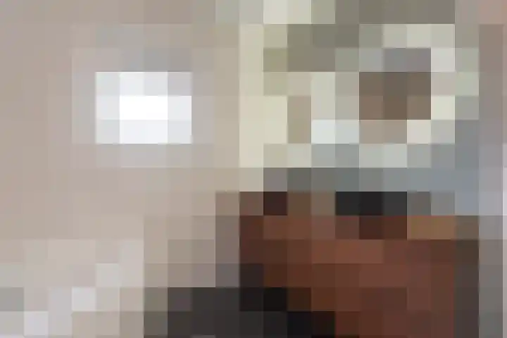 Ponyweide 57 Zoetermeer thumbnail 33