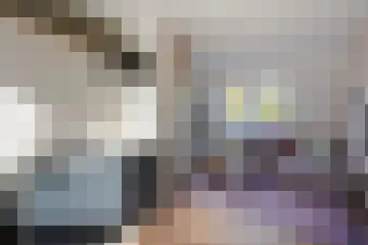 Ponyweide 57 Zoetermeer thumbnail 50