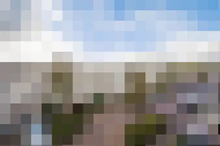 Ponyweide 57 Zoetermeer thumbnail 57