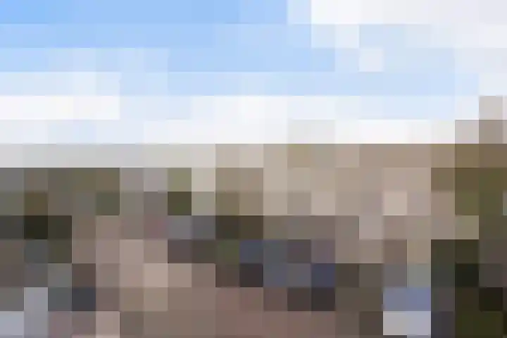 Ponyweide 57 Zoetermeer thumbnail 58