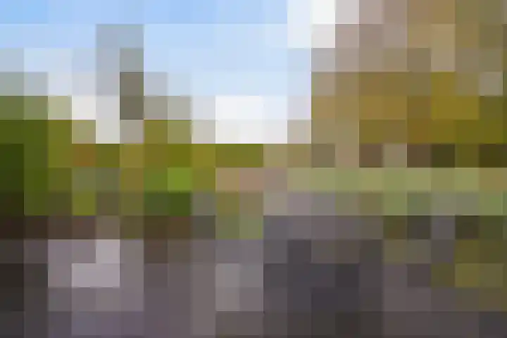 Ponyweide 57 Zoetermeer thumbnail 61