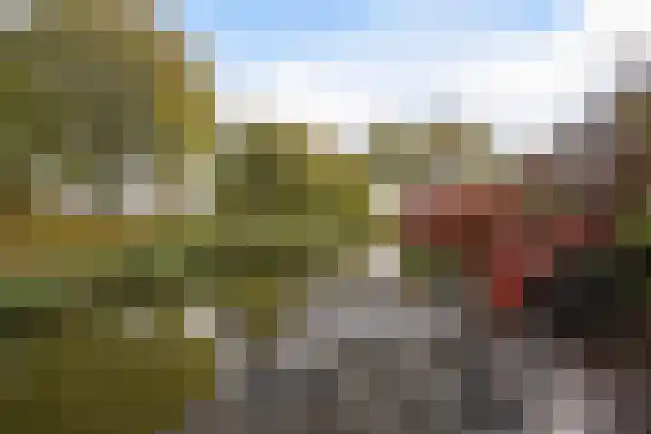 Ponyweide 57 Zoetermeer thumbnail 62