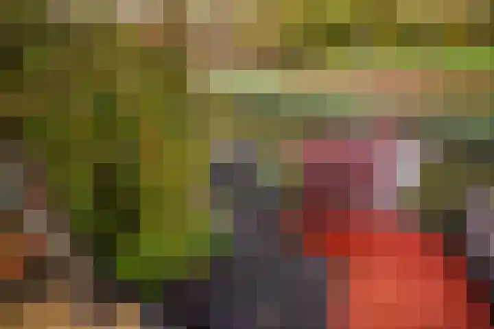 Ponyweide 57 Zoetermeer thumbnail 63