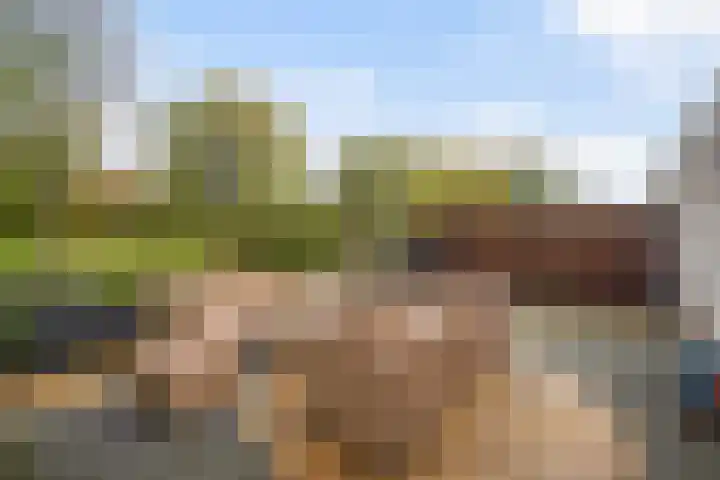 Ponyweide 57 Zoetermeer thumbnail 64