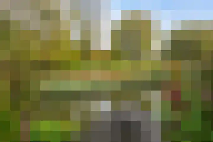 Ponyweide 57 Zoetermeer thumbnail 65