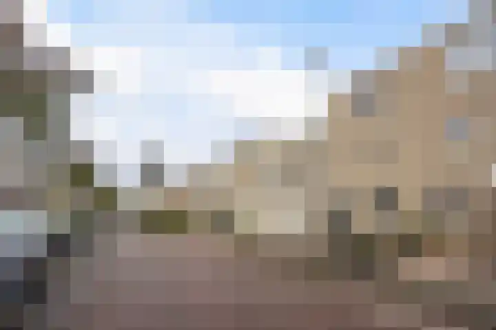 Ponyweide 57 Zoetermeer thumbnail 66