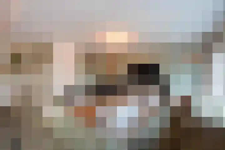 Ponyweide 57 Zoetermeer thumbnail 7