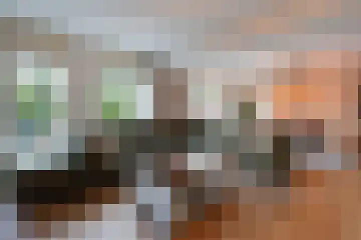 Ponyweide 57 Zoetermeer thumbnail 8