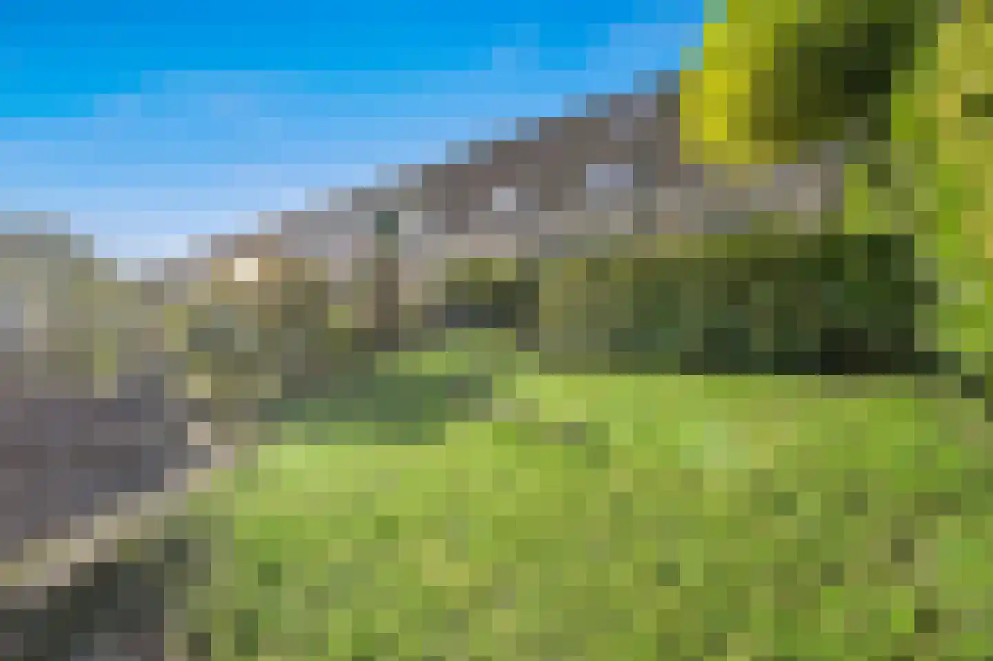 Ponyweide 61 Zoetermeer thumbnail 16