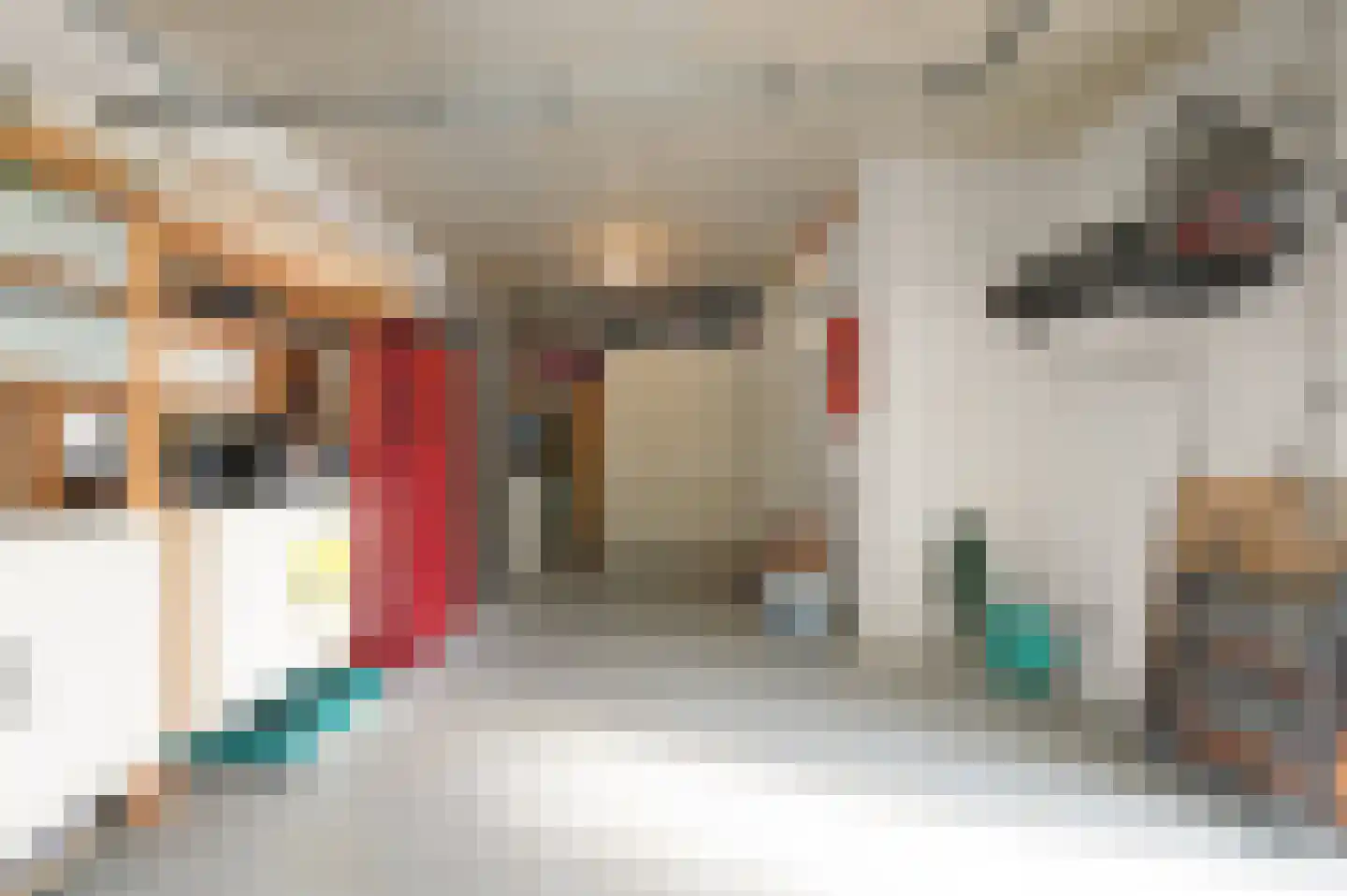 Ponyweide 61 Zoetermeer thumbnail 32