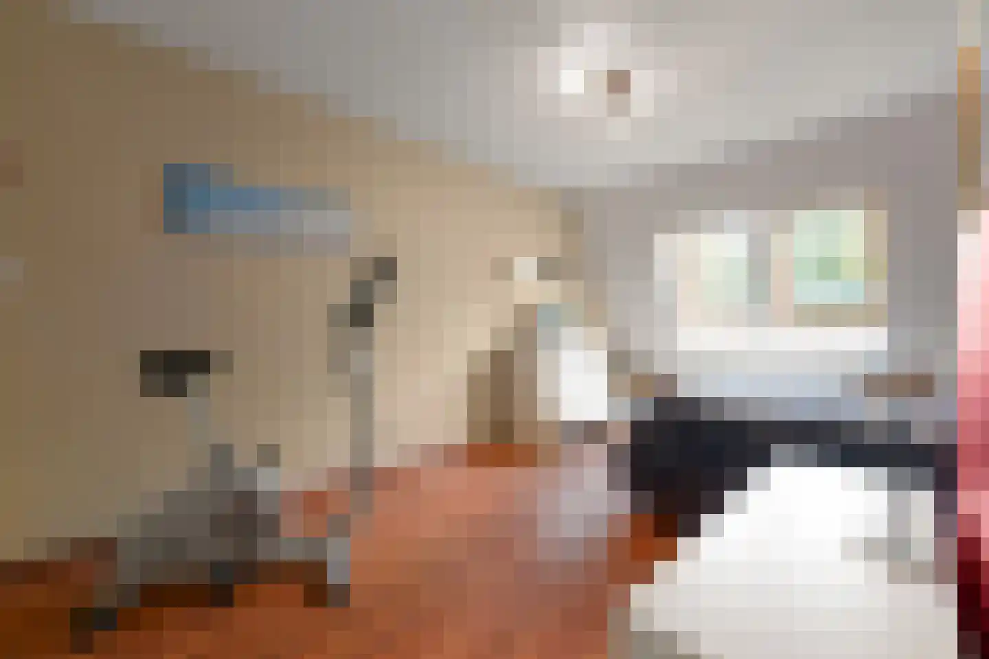 Ponyweide 61 Zoetermeer thumbnail 35