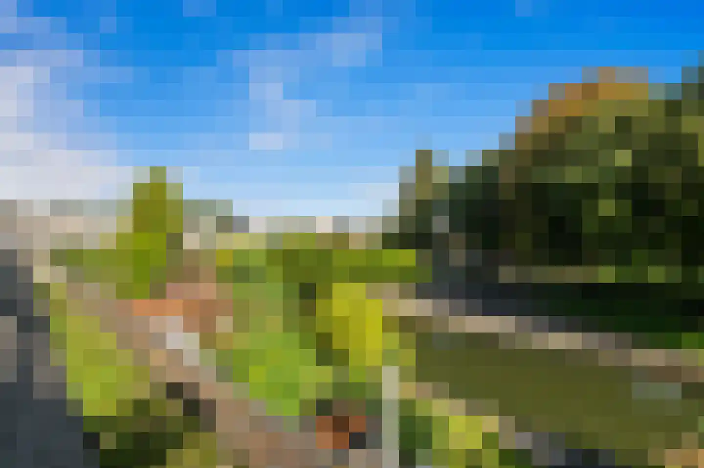 Ponyweide 61 Zoetermeer thumbnail 45