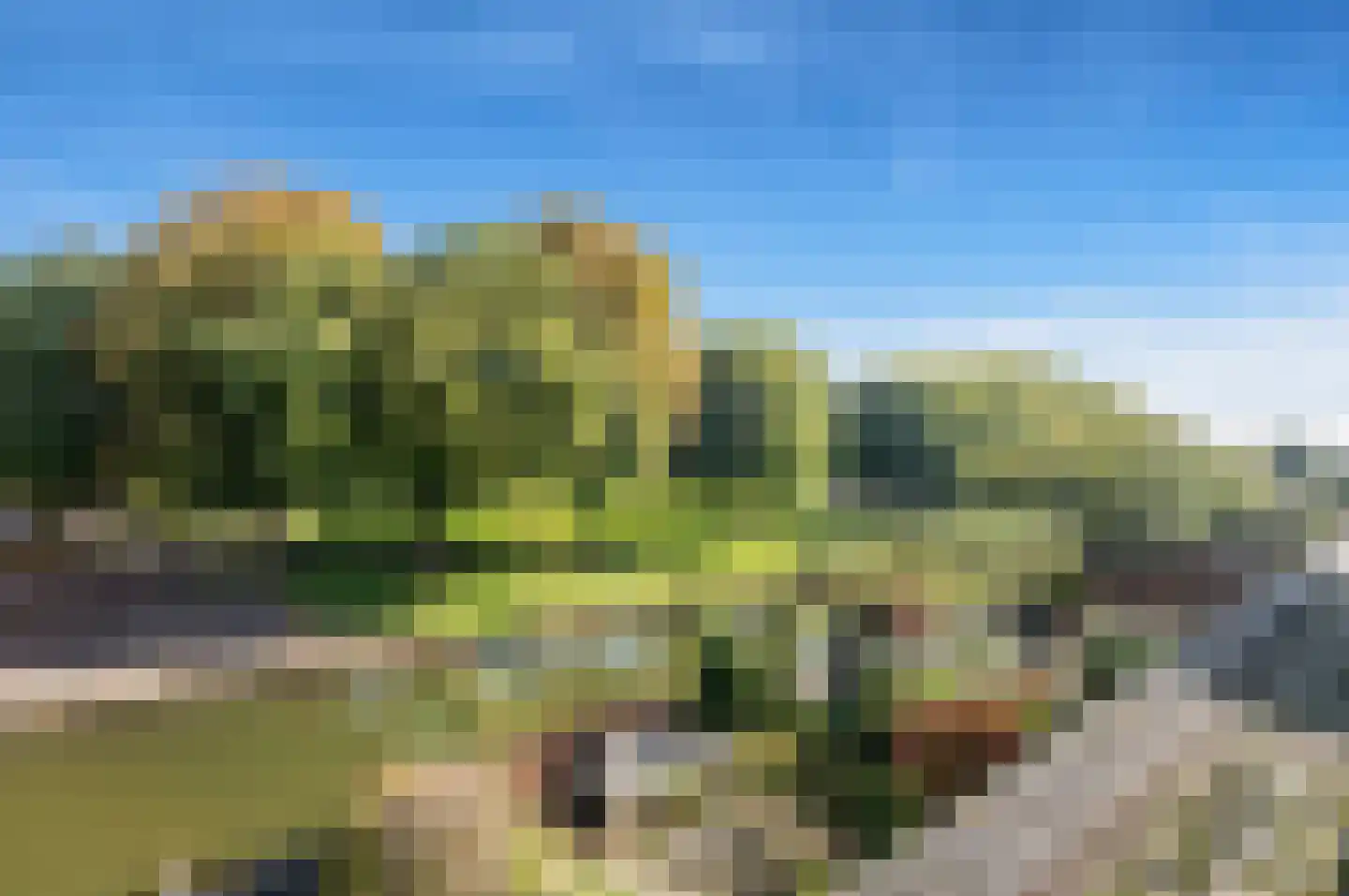 Ponyweide 61 Zoetermeer thumbnail 46