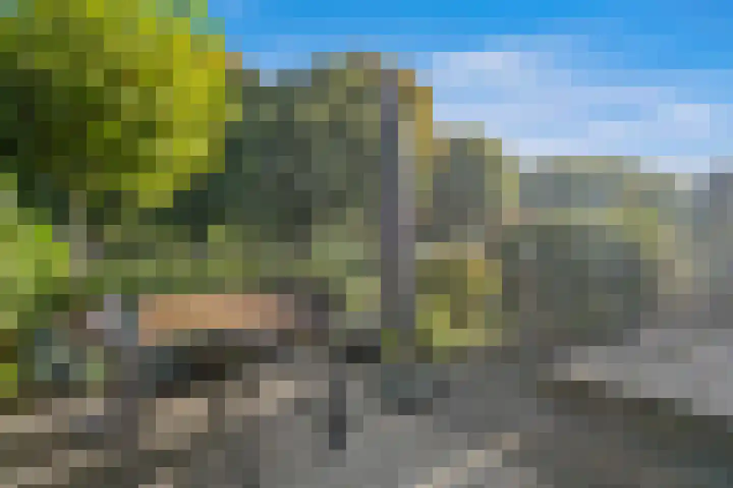Ponyweide 61 Zoetermeer thumbnail 5