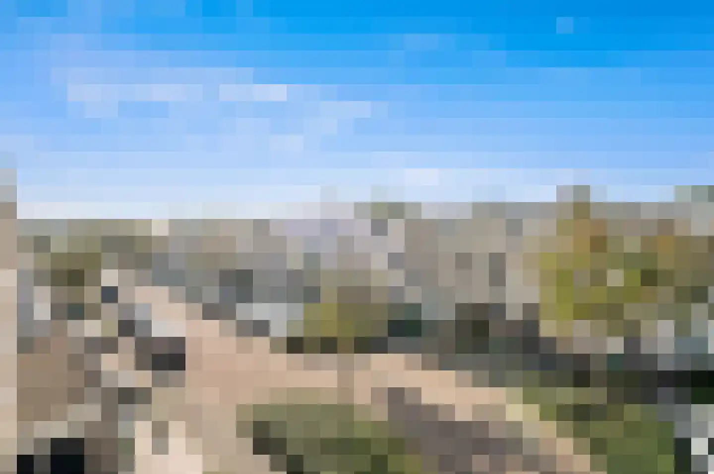 Ponyweide 61 Zoetermeer thumbnail 56
