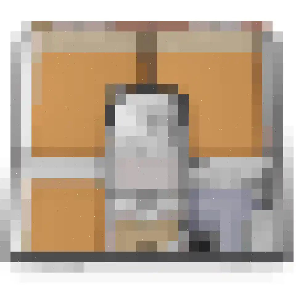 Ponyweide 61 Zoetermeer thumbnail 61