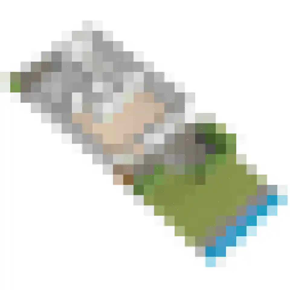 Ponyweide 61 Zoetermeer thumbnail 65