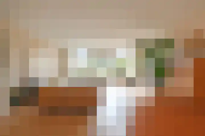 Ponyweide 88 Zoetermeer thumbnail 15