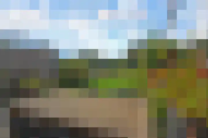 Ponyweide 88 Zoetermeer thumbnail 18