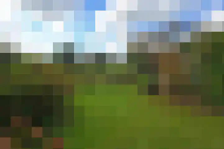 Ponyweide 88 Zoetermeer thumbnail 19