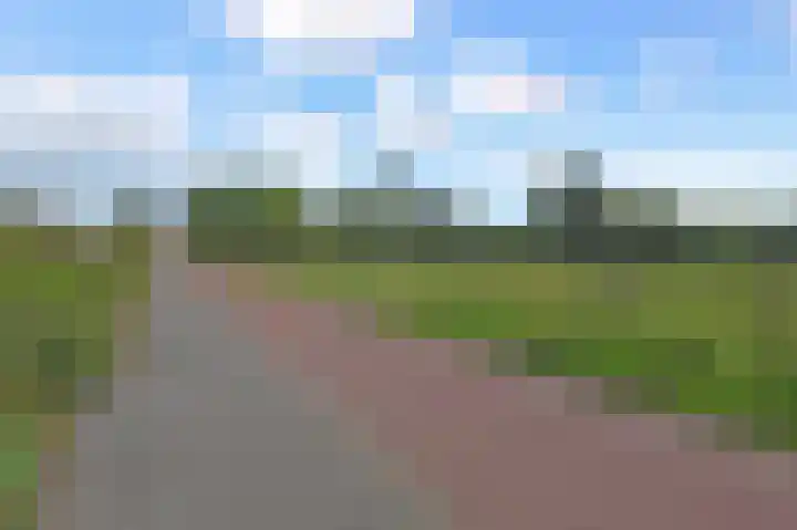 Ponyweide 88 Zoetermeer thumbnail 21