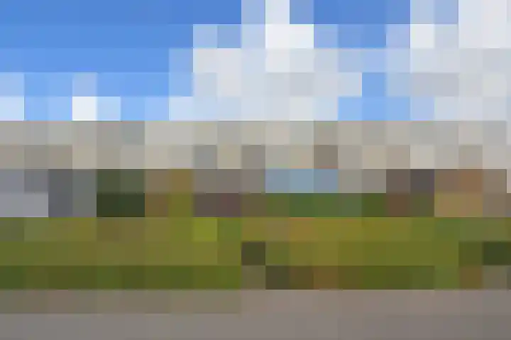 Ponyweide 88 Zoetermeer thumbnail 22