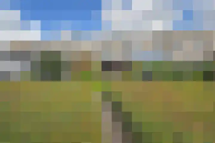 Ponyweide 88 Zoetermeer thumbnail 23