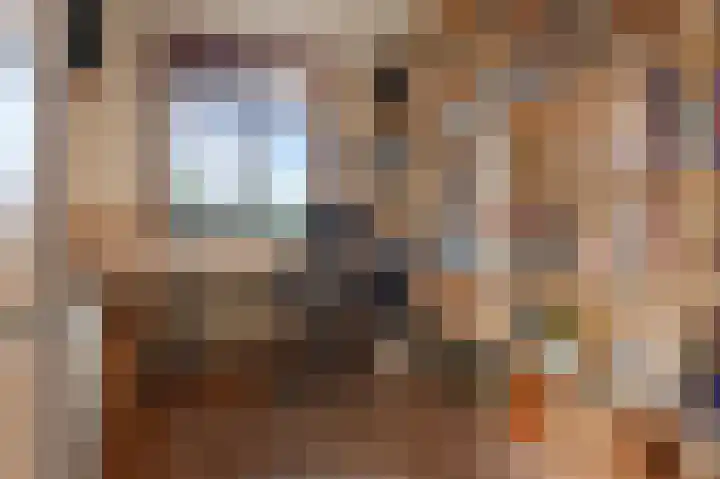 Ponyweide 88 Zoetermeer thumbnail 25