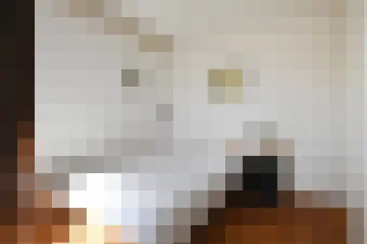 Ponyweide 88 Zoetermeer thumbnail 28