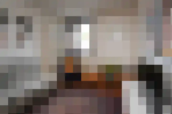 Ponyweide 88 Zoetermeer thumbnail 29