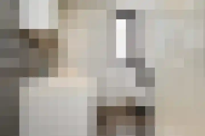 Ponyweide 88 Zoetermeer thumbnail 32