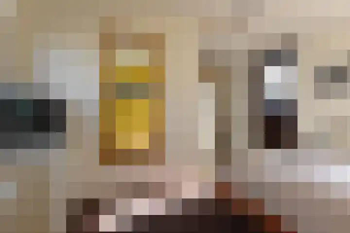 Ponyweide 88 Zoetermeer thumbnail 34