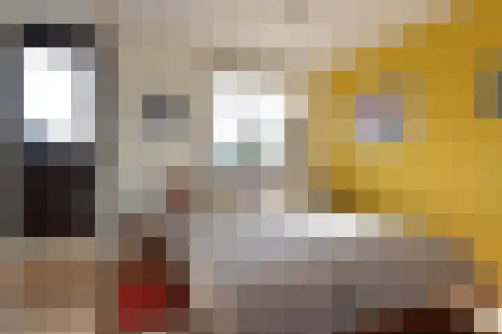 Ponyweide 88 Zoetermeer thumbnail 36